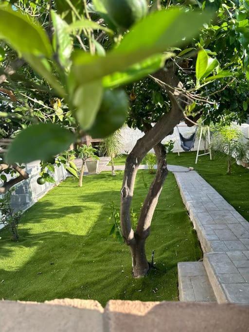 Lamarticata-Likeshome Garden Triscina Luaran gambar